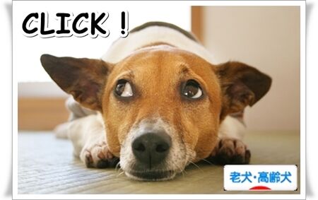 click
