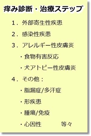すてっぷ