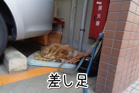 そ〜っと