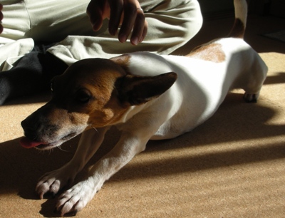 �󤸤㤤�ä��礪�ꤤ���ޡ���