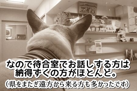 0shujii10