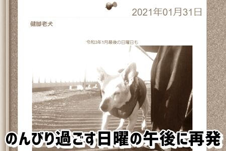のんびり一転