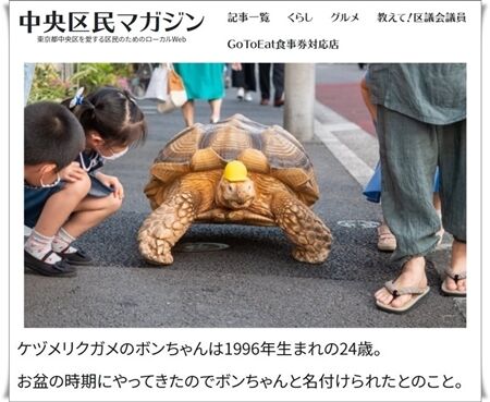 �������ޤ�餷��