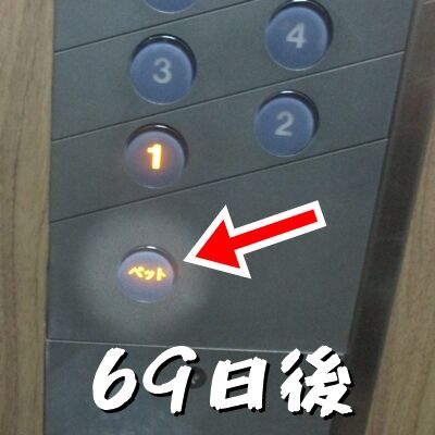 2か月以上