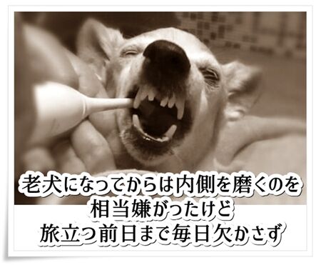 0tooth15