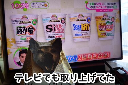 ノンストップ