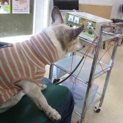 これも治療
