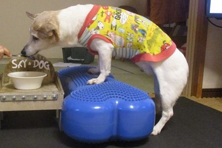 さぞかし面倒くさいことだろう