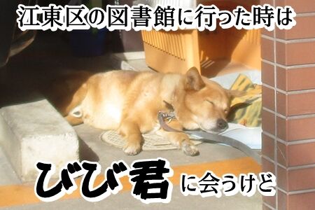 �Ӥӷ�