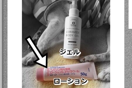 ヘパリン類似物質