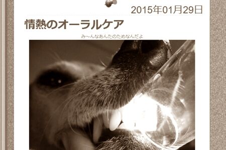複数種あるそのカーボンを