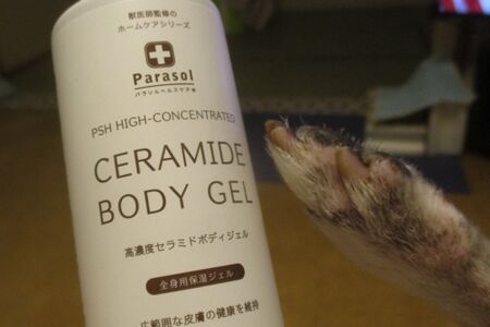 ジェル