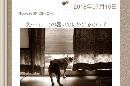 15の夏