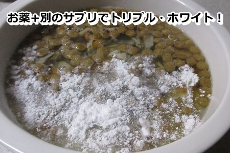 まっしろしろ