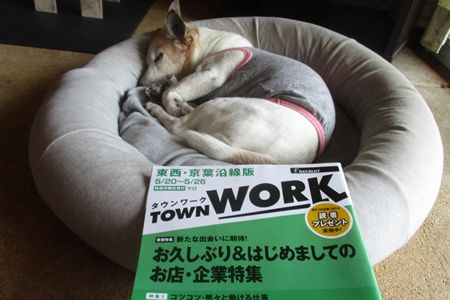 ♪タウンワーク、タウンワーク♪