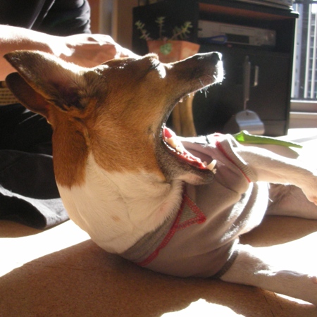 �������褫��