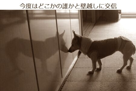 どこの誰とつながっているのか