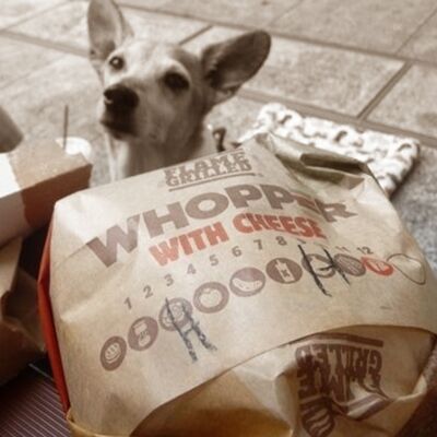 WHOPPER!