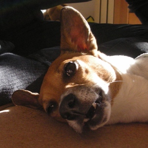 ���ޤ��ˤϡ�����