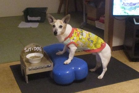 これが
