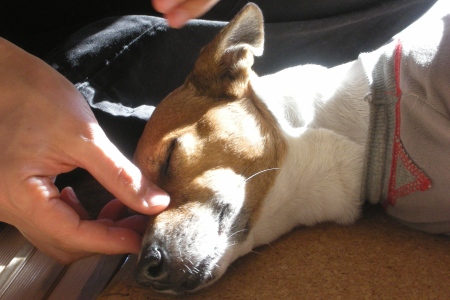 ��äݤɿ��Ϥ�����Ǥ��礦����