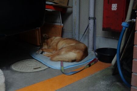 今日は涼しくていいね〜