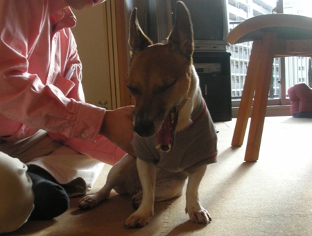 �����������������ӡ������ä�