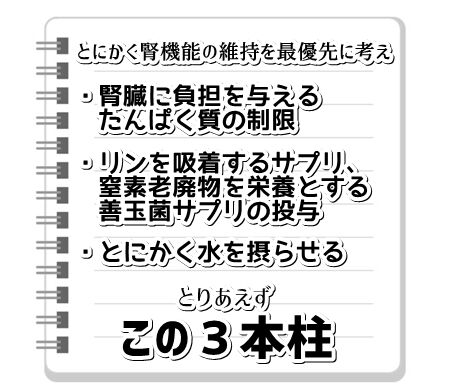 0hanegi07