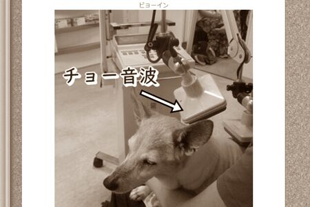 車で1時間弱