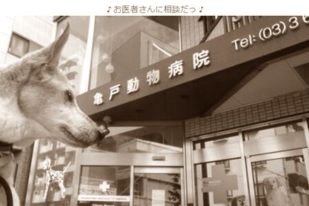 思わぬところで