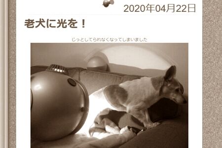 効果のほどは???ですが