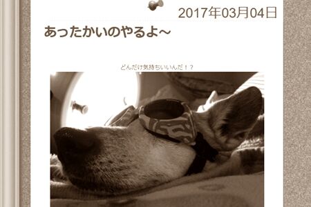 症状に分けて
