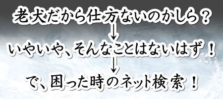 0hifu04
