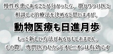 0hanegi14