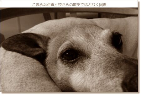 0qq06
