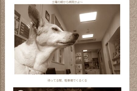 本当に何度も何度も