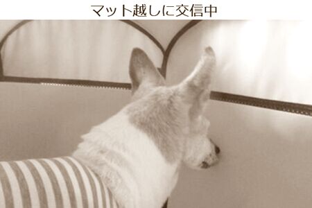 人間である私たちは
