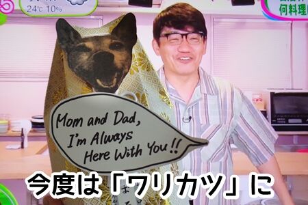 今では超売れっ子