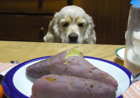 ����Ʒ��10000�ܥ�ȡ�