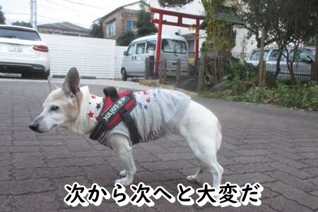 さあ帰りましょう