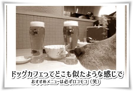 うしすけ