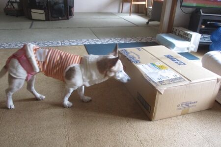 大量購入
