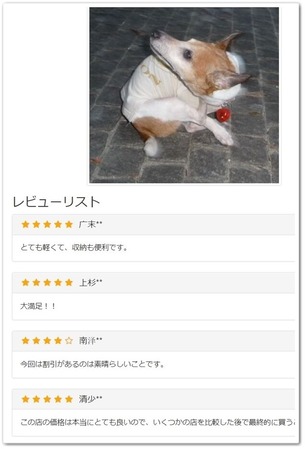 怪し過ぎる