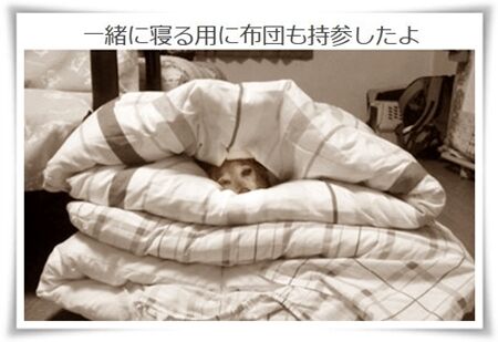 今明かされる衝撃の事実