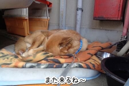 起きないね〜