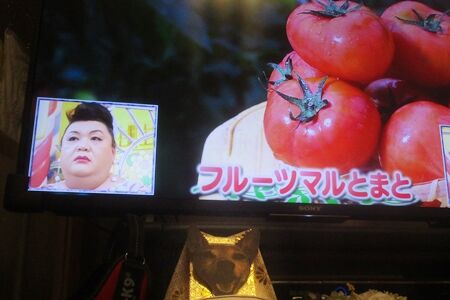 マツコとまる