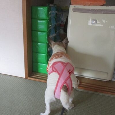 1日4枚弱ってことね