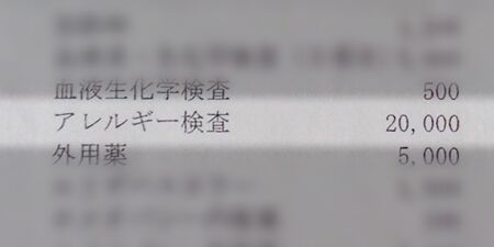 大枚