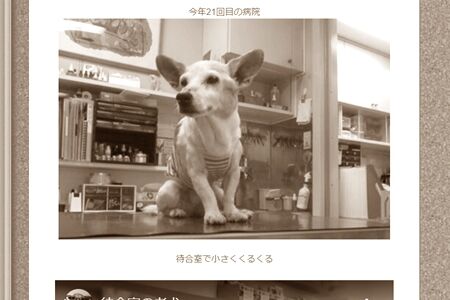 近ければいいんだけど