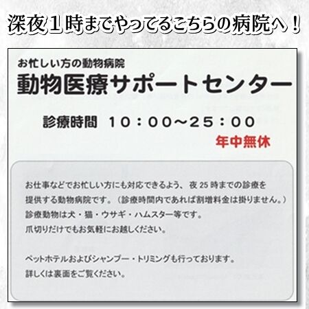 0qq02